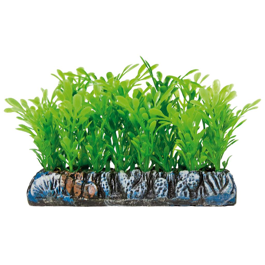 Salvacrías Samolus AQUATIC PLANTS (PLÁSTICO) verde 7x9cm