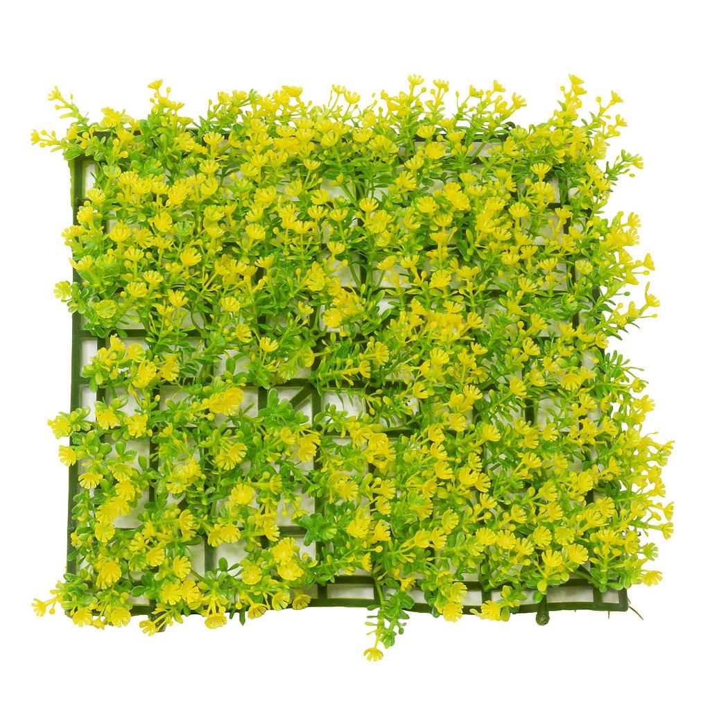 Planta salvacrías amarilla (25 cm)