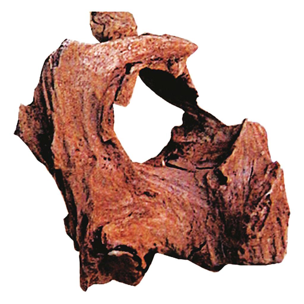 Tronco natural DRIFTWOOD XS 18cm