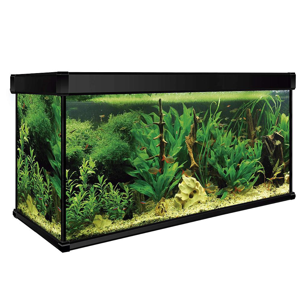 Kit AQUA LUX PRO 200 con filtro exterior (200.00 L)